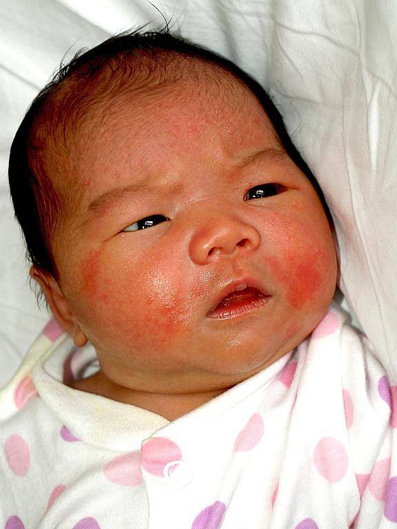 VU LINH GIANG, holčička, se narodila na Štědrý den v 10.10 hodin. Při narození vážila 3500 gramů a měřila 48 centimetrů. Doma v Chebu se z malé sestřičky těší šestiletý bráška Milan a maminka Viki.
