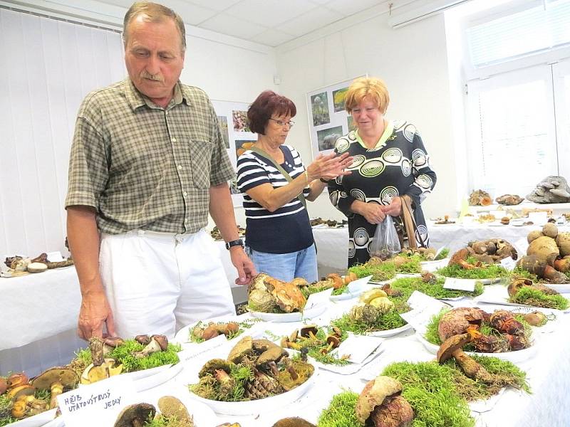 Téměř tisíc lidí zavítalo o víkendu na výstavu hub do Mariánských Lázní. 