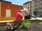 Rozsáhlou úpravou za necelé dva miliony korun prošla komunitní zahrada na bývalém školním pozemku 2. základní školy v chebské ulici Májová.
