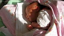 Blanka Santová z Chebu se narodila 2. listopadu. Měřila 50 centimetrů a vážila 3,41 kilogramu