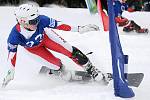 O2 Evropský pohár v paralelním slalomu na snowboardu v Mariánských Lázních