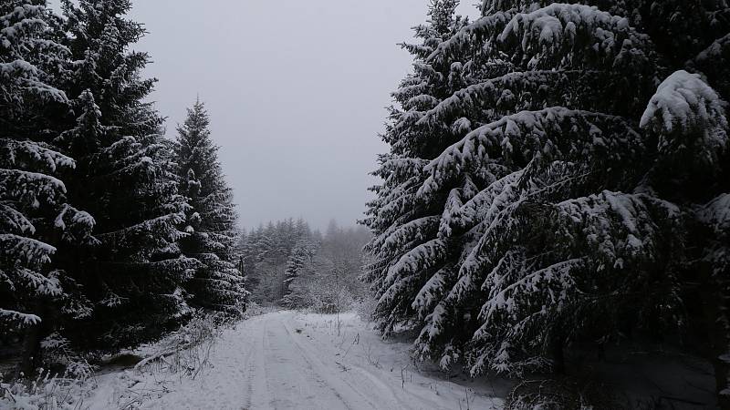 Zasněženou magickou Podhoru využili fotografové, nazdobili vánoční strom.