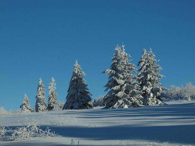 Zima ve Vojenském újezdu Hradiště