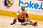 Sledge hokej: SKV Sharks K. Vary - SHK Lapp Zlín 1:3