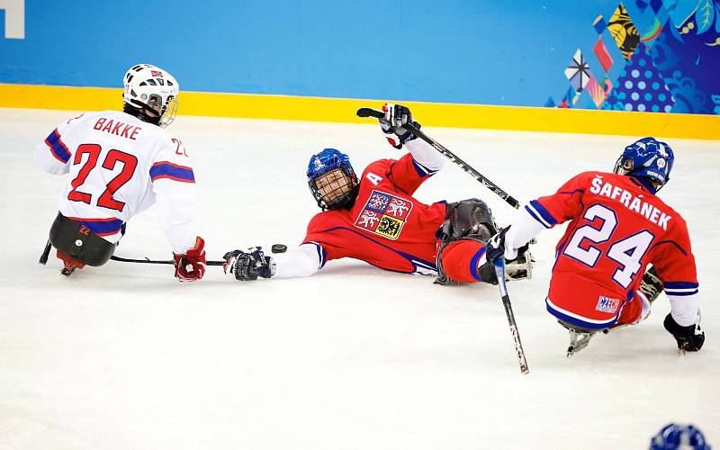 Paralympiáda: Norsko - Česko 2:1 po sn