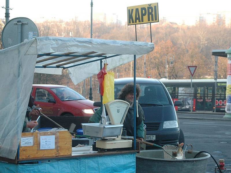 KAPŘI POD DOHLEDEM. Včera zkontrolovali strážníci tři karlovarské prodejce vánočních kaprů.