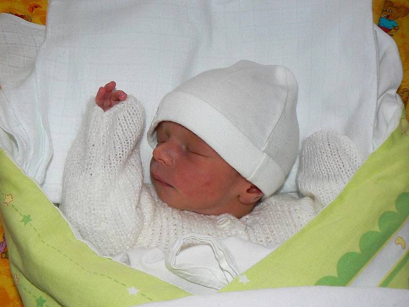 Tříapůlletý Míša doma v Toužimi už s radostí očekává svého novorozeného brášku Matěje, který se narodil rodičům Jitce a Michalovi Masnerovým 23. 1. 2010 veFNv Plzni.