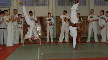 Vyznavači bojového umění capoeira měli o víkendu jedinečnou možnost zacvičit si pod vedením jednoho z nejlepších bojovníků planety. Estacio Ferreira da Silva se sám aktivně zapojil do praktických ukázek tohoto bojového umění