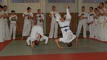 Vyznavači bojového umění capoeira měli o víkendu jedinečnou možnost zacvičit si pod vedením jednoho z nejlepších bojovníků planety. Estacio Ferreira da Silva se sám aktivně zapojil do praktických ukázek tohoto bojového umění