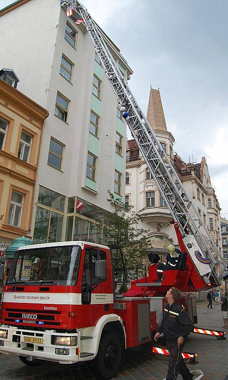 Hasiči likvidovali roj včel na třídě TGM.