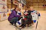 Mistr České sledge hokejové ligy - SKV Sharks Karlovy Vary