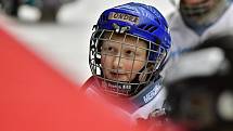 Již dva dny bojují v rámci I. ročníku Karlovy Vary Para Ice Hockey Tournament v lázeňském městě na ledě KV Areny o vítěznou trofej čtyři para hokejové výběry.