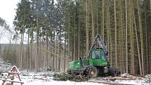 Harvestory jsou velkými pomocníky i Lázeňských lesů. Nyní zpracovávají kalamitu poblíž policejní střelnice nad Hubertusem.