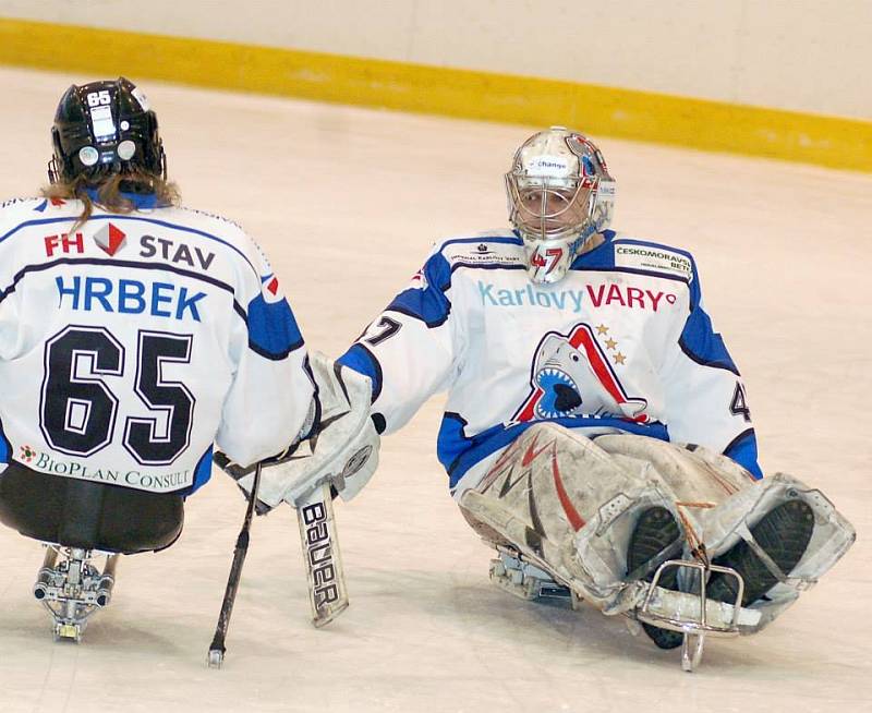 Mistr České sledge hokejové ligy - SKV Sharks Karlovy Vary