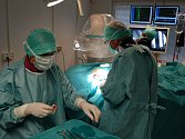 Pacienti chebské, karlovarské a sokolovské nemocnice nemusejí od 1. února platit za ošetření ani za hospitalizaci. (Ilustrační foto.)