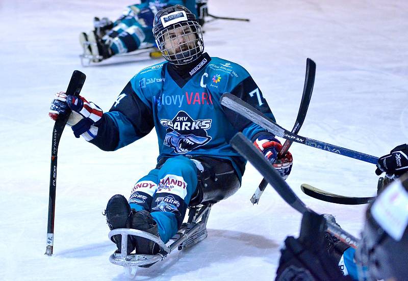 O víkendu si hráči karlovarského SKV Sharks (v modrém) připsali na konto výhru 4:0 nad Olomoucí, k tomu pak přidali prohru s Pardubicemi 4:6.