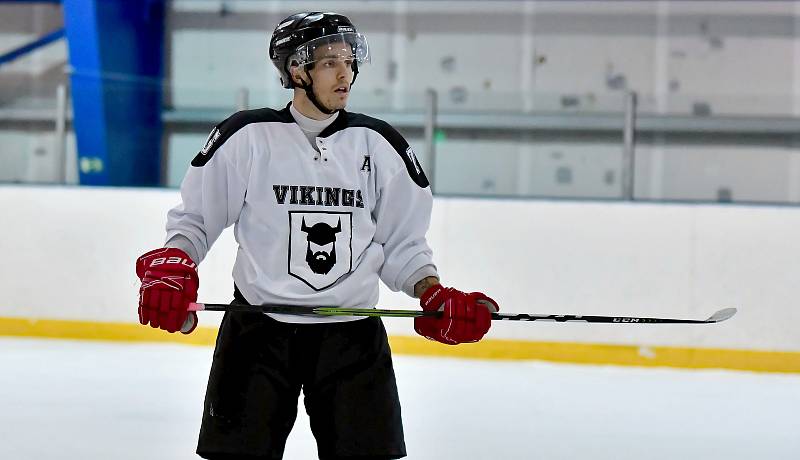 Berani Nejdek, kteří nastoupili k duelu v řádně okleštěné sestavě oproti nabušené soupisce hostů, dokázali Vikingy porazit v poměru 8:5.