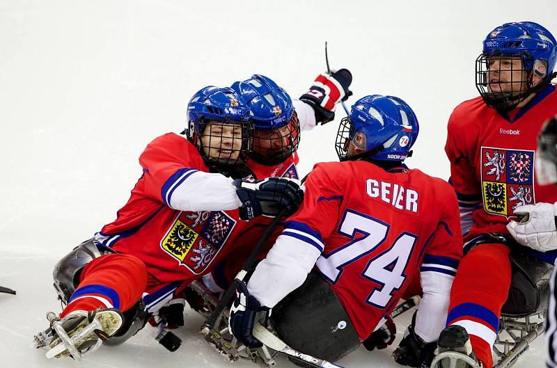 Paralympiáda: Norsko - Česko 2:1 po sn