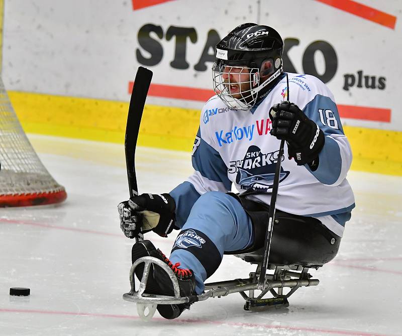 Již dva dny bojují v rámci I. ročníku Karlovy Vary Para Ice Hockey Tournament v lázeňském městě na ledě KV Areny o vítěznou trofej čtyři para hokejové výběry.