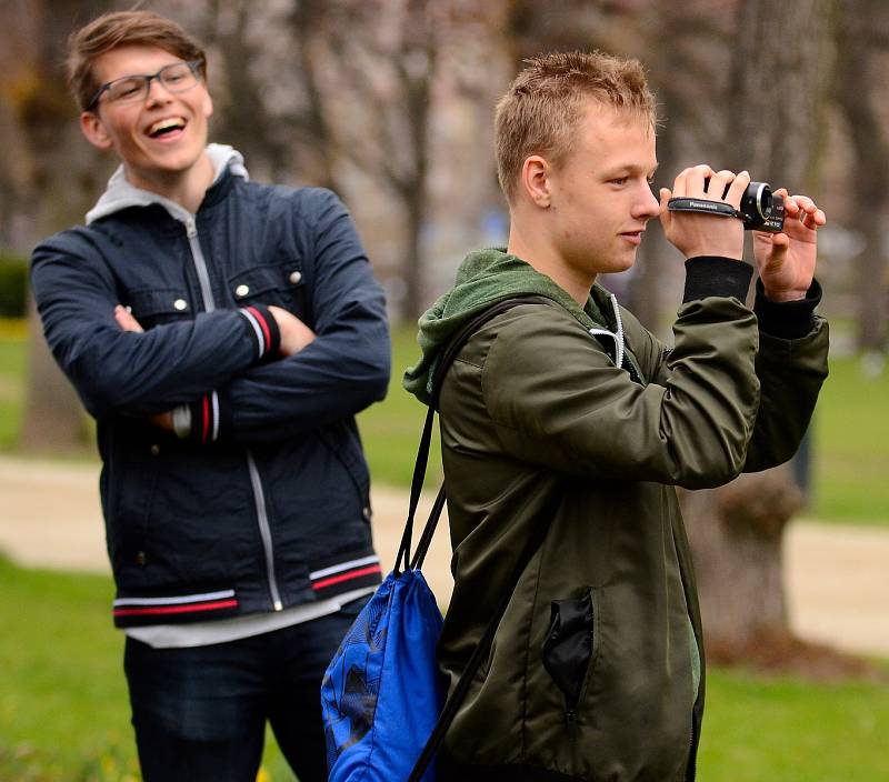 Semifinálové kolo juniorského maratonu opět ovládlo Gymnázium Cheb, které se tak podívá na celostátní finále.