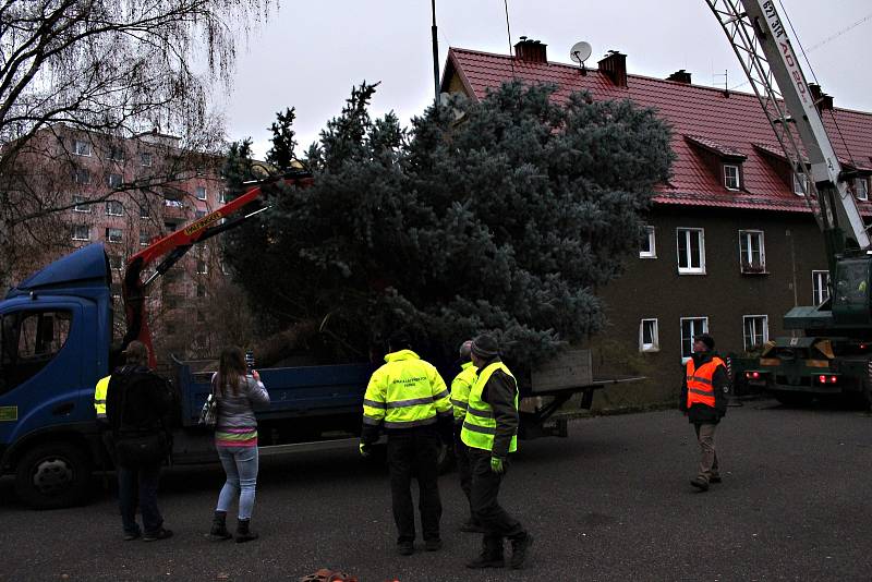 Vánoční strom v Karlových Varech už stojí.