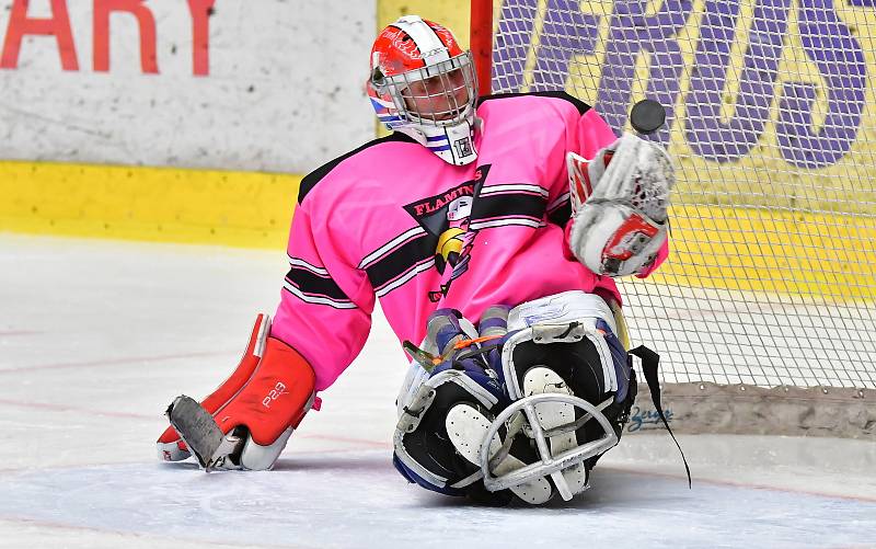 Již dva dny bojují v rámci I. ročníku Karlovy Vary Para Ice Hockey Tournament v lázeňském městě na ledě KV Areny o vítěznou trofej čtyři para hokejové výběry.