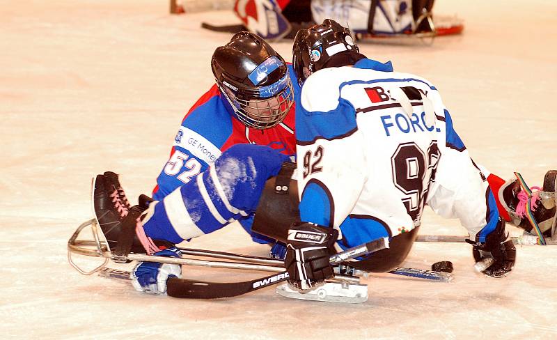 Žraloci (v bílém) vyhráli i druhé finálové utkání nad Spartou Praha a usedli tak na mistrovský sledge hokejový trůn.