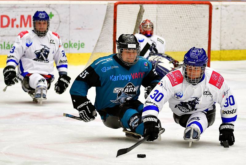 Dvě výhry během víkendu slavili v domácím prostředí para hokejisté SKV Sharks Karlovy Vary, kteří zdolali Havířov i Zlín.