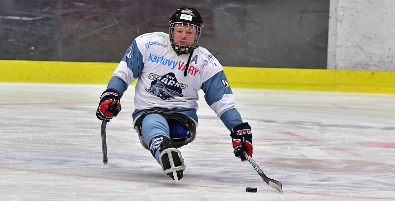 Již dva dny bojují v rámci I. ročníku Karlovy Vary Para Ice Hockey Tournament v lázeňském městě na ledě KV Areny o vítěznou trofej čtyři para hokejové výběry.