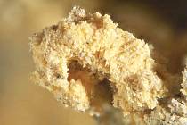 MINERÁL RIETVELDIT připomíná střídku chleba. Byl zjištěn ve starém muzejním vzorku a současně ve vzorcích z dolů v Utahu a uhelného dolu u Drážďan.