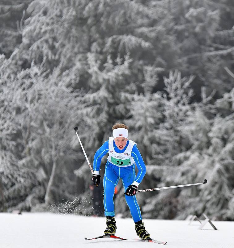 Sportovci v trikotu Karlovarského kraje si řádně užívají zimní olympiádu dětí a mládeže,