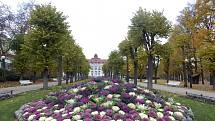 Centrum města Karlovy Vary zůstává i nadále prázdné. Lidé věří, že se po rozvolnění opatření život do města zase vrátí a turisté začnou do centra opět přijíždět.