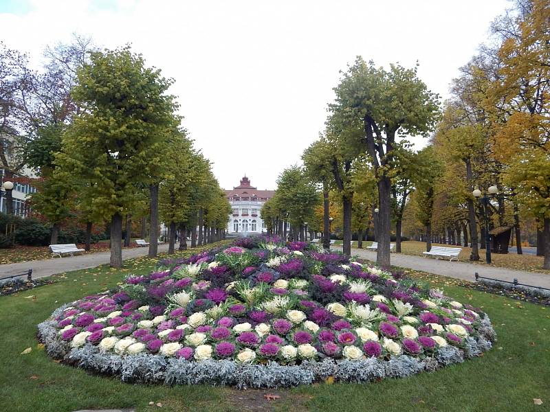 Centrum města Karlovy Vary zůstává i nadále prázdné. Lidé věří, že se po rozvolnění opatření život do města zase vrátí a turisté začnou do centra opět přijíždět.