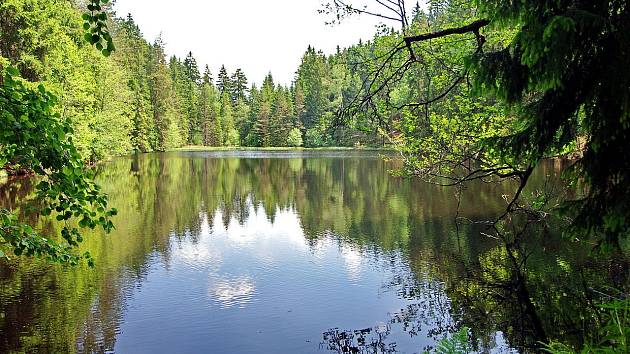 Bečovské lesní rybníky je název Evropsky významné lokality vyhlášené v roce 2004.