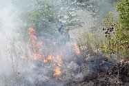 U Staré Chodovské hoří suchá tráva na rozloze zhruba 10 000 metrů čtverečních. Na místě zasahuje osm jednotek hasičů, vyhlášený byl druhý stupeň požárního poplachu.