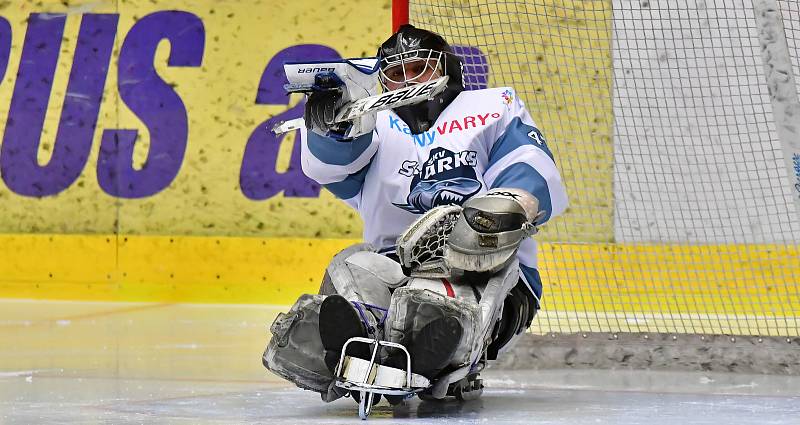 Již dva dny bojují v rámci I. ročníku Karlovy Vary Para Ice Hockey Tournament v lázeňském městě na ledě KV Areny o vítěznou trofej čtyři para hokejové výběry.