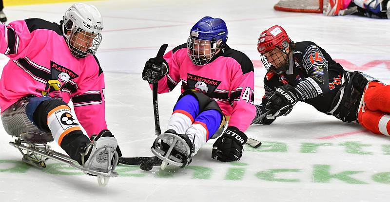 Karlovy Vary Para Ice Hockey Tournament.