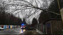 Hasiči v Karlovarském kraji zasahují u popadaných stromů.