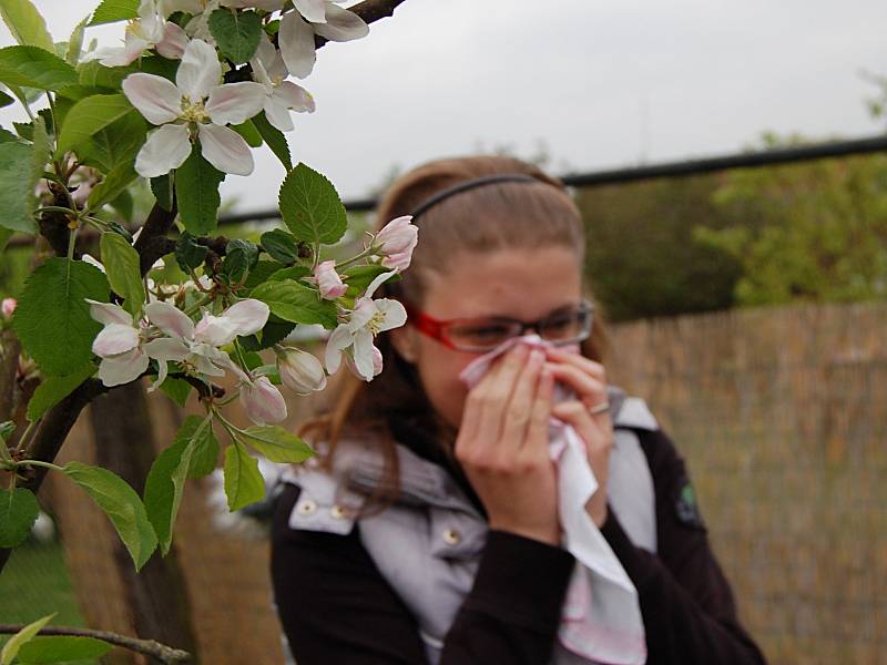 S PŘÍCHODEM jara začíná alergikům trápení.