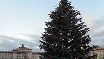 Obyvatelé Ostrova si nenechal ujít nedělní rozsvícení vánočního stromu, na kterou byla zvána právě i veřejnost.