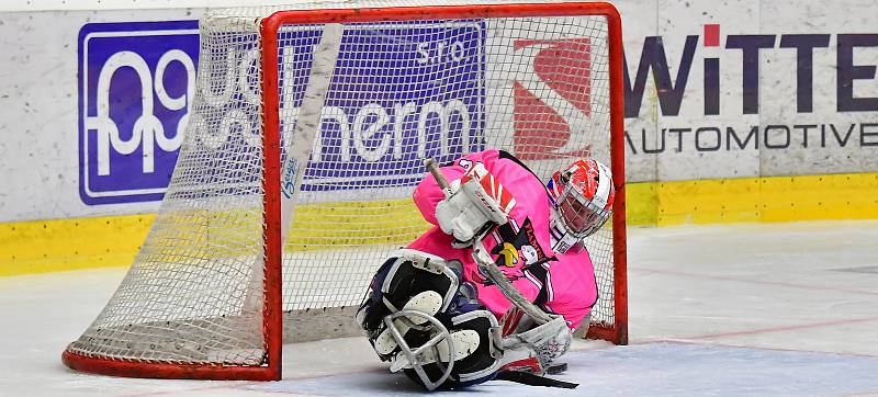 Již dva dny bojují v rámci I. ročníku Karlovy Vary Para Ice Hockey Tournament v lázeňském městě na ledě KV Areny o vítěznou trofej čtyři para hokejové výběry.