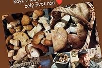 Jaromír Polesný z Vrbice miluje houbaření a ocitl se v houbařském ráji
