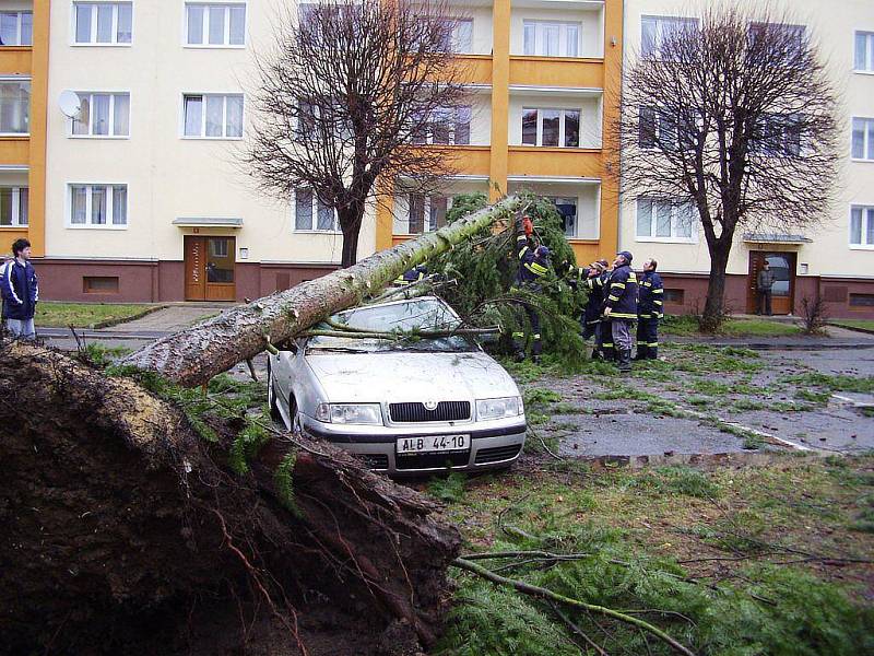 Hasiči rozřezávají padlý strom.