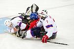 Paralympiáda: Norsko - Česko 2:1 po sn