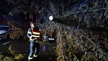 Vichřice Dudley vyvracela stromy v Karlovarském kraji