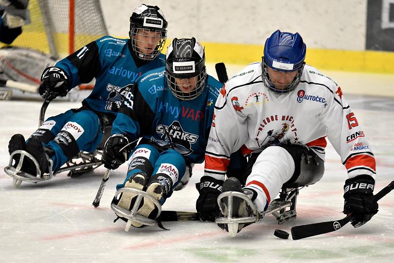 O víkendu si hráči karlovarského SKV Sharks (v modrém) připsali na konto výhru 4:0 nad Olomoucí, k tomu pak přidali prohru s Pardubicemi 4:6.