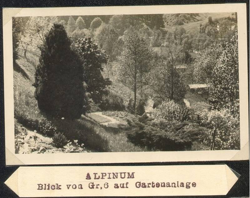 Dobové fotografie Bečovské botanické zahrady.