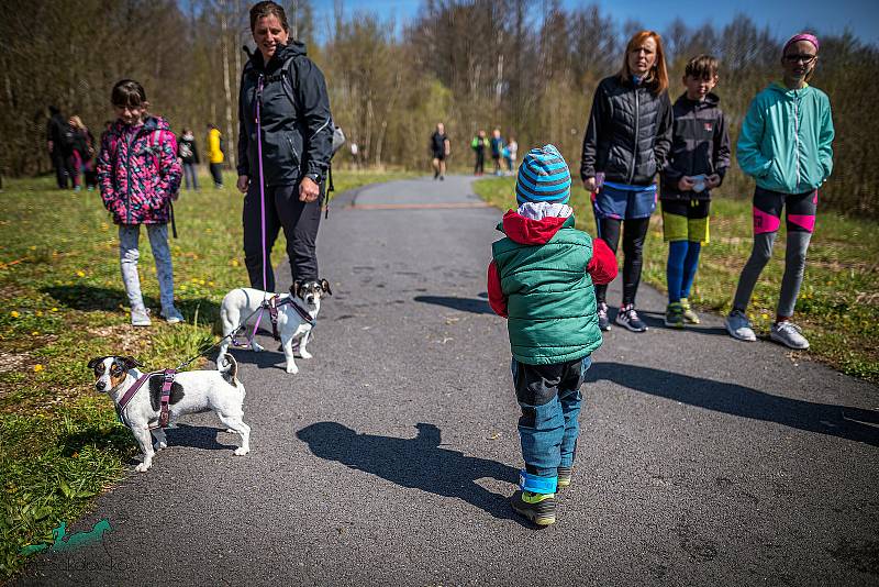 Obrazem 1/4 a 1/2maraton Okolo Meluzínky.