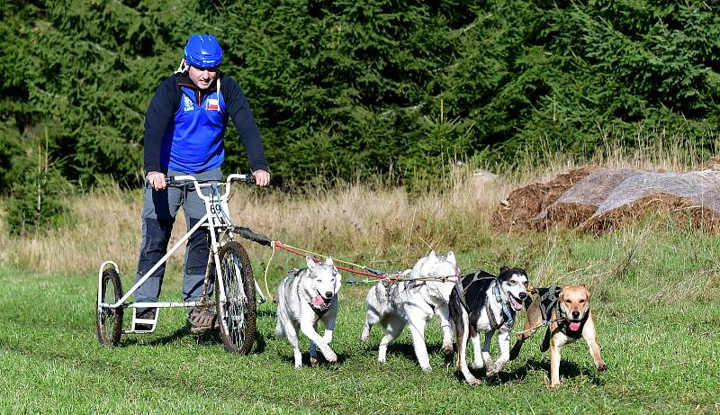 Abertamský sprint přilákal na start závodu devadesátku mašérů, kteří se představili v patnácti kategoriích.