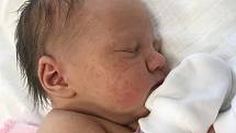 Greta Helebrantová se narodila 24. února 2020 v karlovarské porodnici. Po příchodu na svět vážila 3460 gramů a měřila 51 centimetrů.
